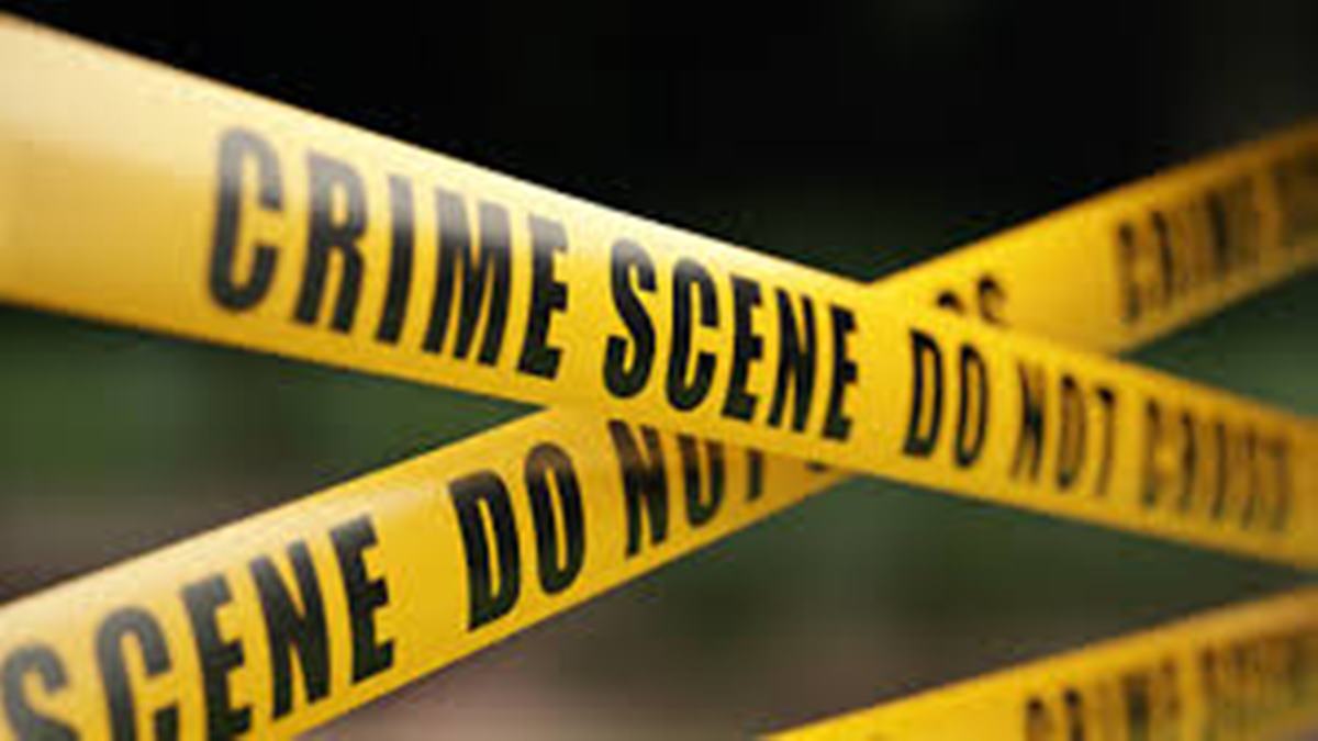 Crime News