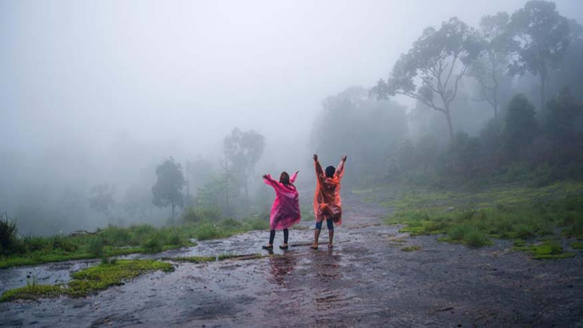 Monsoon Travel Destinations India: पावसाळ्यात 'या' 5 ठिकाणांचे सौंदर्य बहरते; मनमोहक निसर्ग पाहण्यासाठी आजच प्लॅन करा तुमची ट्रिप