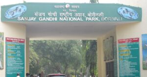 SGNP Mornig Walk