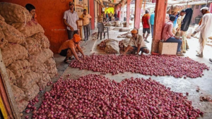 Onion Agitation
