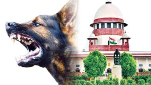 SC Orders Action on Dangerous Stray Dogs