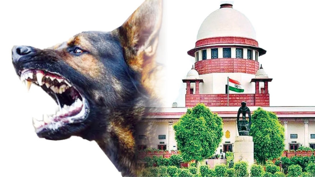 SC Orders Action on Dangerous Stray Dogs