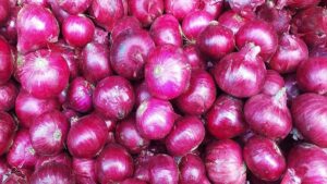 Onion Price Update: कांदा उत्पादक शेतकऱ्यांसाठी मोठी बातमी! सरकारी खरेदी दरात वाढ; पाहा नवीन दर