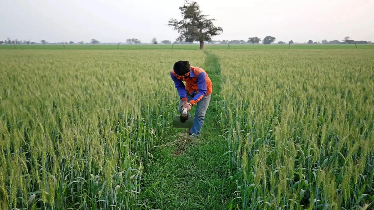 Maharashtra Farmer Loan Waiver: शेतकऱ्यांसाठी मोठी बातमी! 30 जूनची डेडलाईन हुकली; आता 'या' तारखेपर्यंत होणार कर्जमाफी