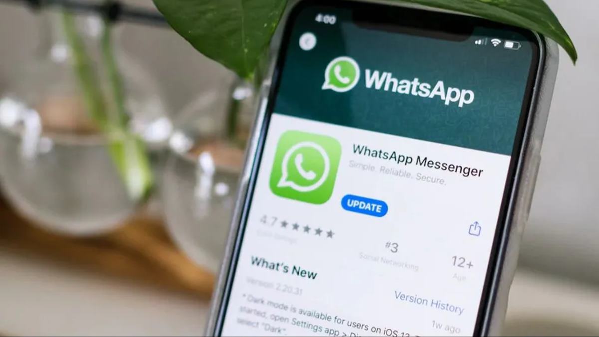 WhatsApp Username Feature: व्हॉट्सअ‍ॅपमध्ये मोठा बदल! आता नंबर न देताही करता येणार चॅटिंग; 'हे' खास फीचर लाँच