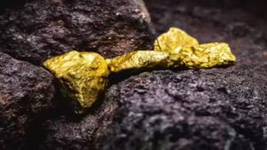 Gold Mines in India: भारतातील या राज्यात सापडला सोन्याचा मोठा खजिना! 50 टन साठ्याचा शोध; हजारो कोटींची होणार कमाई