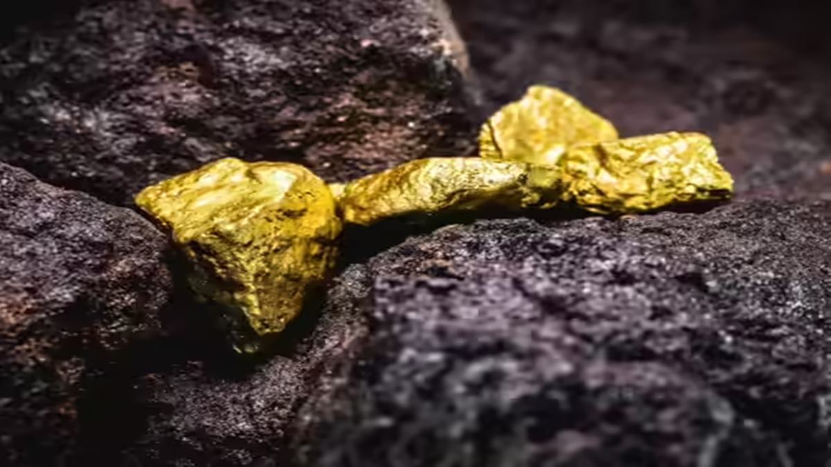 Gold Mines in India: भारतातील या राज्यात सापडला सोन्याचा मोठा खजिना! 50 टन साठ्याचा शोध; हजारो कोटींची होणार कमाई