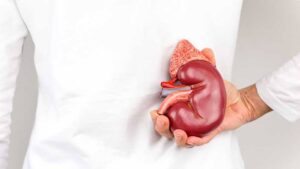 Kidney Damage Habits: आरोग्याची मोठी हानी! 'या' 8 सवयींमुळे तुमची किडनी होऊ शकते निकामी; आजच बदला तुमची लाईफस्टाईल