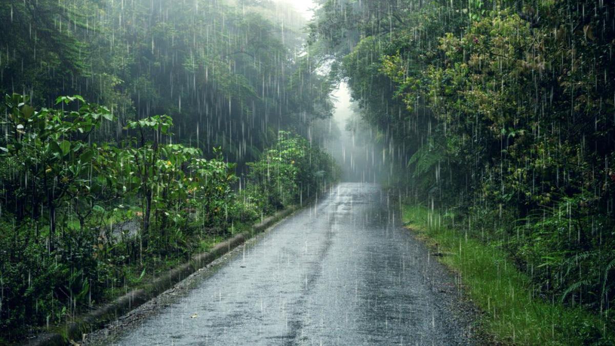 Maharashtra Monsoon Update: महाराष्ट्रात तब्बल 146 वर्षांतील सर्वात कोरडा जून! पाऊस गायब होण्याची काय आहेत कारणे