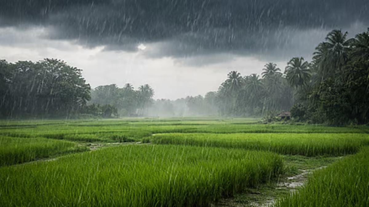 Maharashtra Monsoon Update : शेतकरी बांधवांनो पेरणीची घाई करू नये! मान्सून १० जूनपर्यंत येण्याची शक्यता नाही; हवामान विभागाचा महत्त्वाचा सल्ला