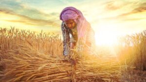 Women Farmers Bill: महिला शेतकऱ्यांसाठी ऐतिहासिक पाऊल; स्वतंत्र 'शेतकरी' म्हणून मिळणार कायदेशीर मान्यता
