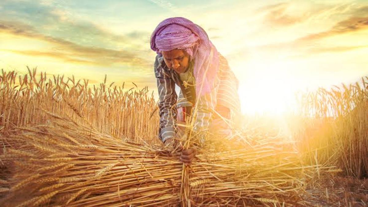 Women Farmers Bill: महिला शेतकऱ्यांसाठी ऐतिहासिक पाऊल; स्वतंत्र 'शेतकरी' म्हणून मिळणार कायदेशीर मान्यता