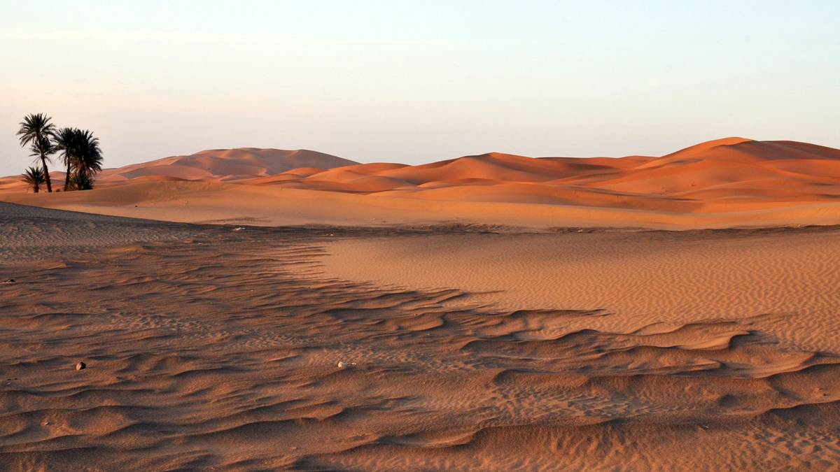 Sahara Desert Death