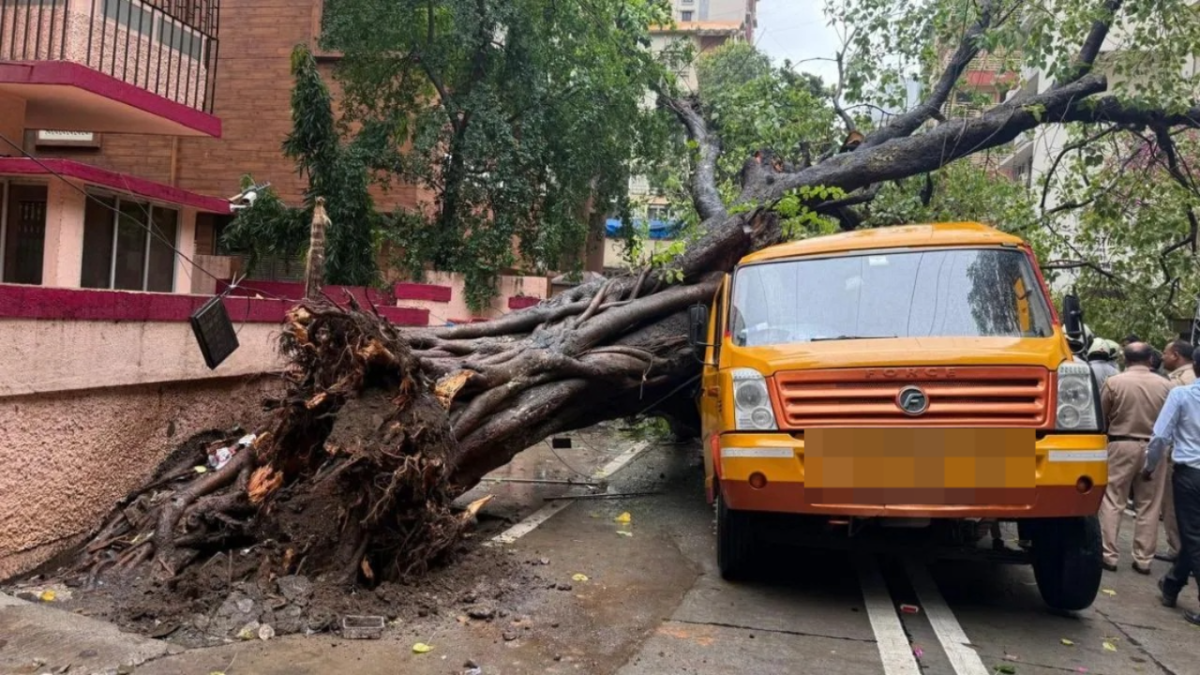 Chembur Tree Collapse