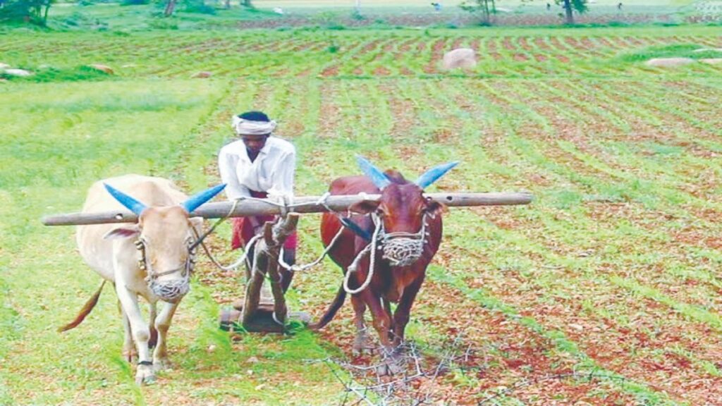 Government announces 2nd loan waiver scheme