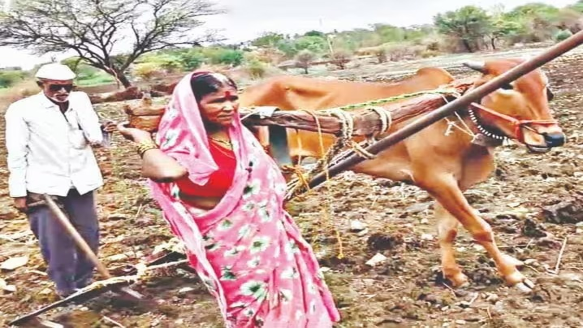 Latur Farmer