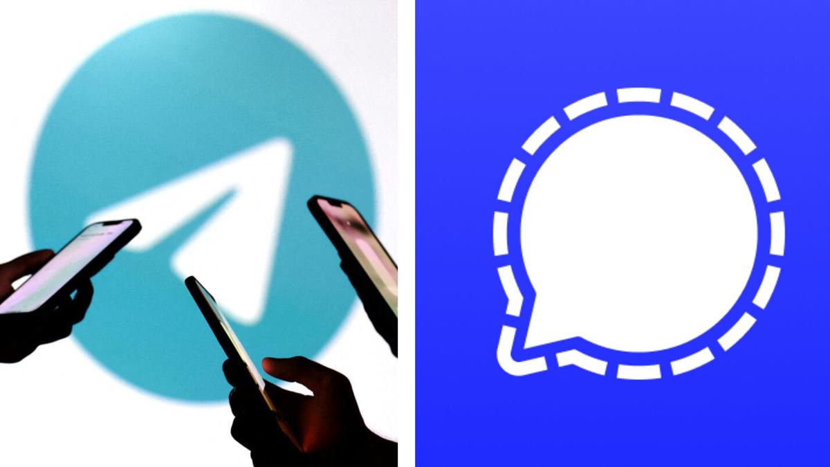 Telegram Signal Government Notice: व्हॉट्सअ‍ॅपनंतर आता टेलिग्राम आणि सिग्नल सरकारच्या रडारवर! 'युझरनेम'वरून आयटी मंत्रालयाची नोटीस