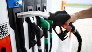 Normal vs Premium Petrol: पंपावरील 'स्पीड' की 'नॉर्मल' पेट्रोल सर्वोत्तम? जाणून घ्या तुमच्या गाडीसाठी नक्की कोणते फायदेशीर