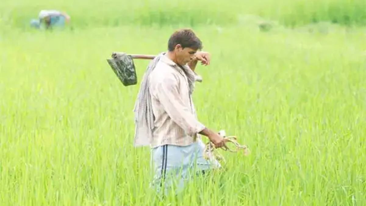 Farmers Loan Waiver Update: कर्जमाफीच्या मर्यादेत थेट ४ पटीने वाढ, जाचक अटही रद्द; शेतकऱ्यांसाठी मुख्यमंत्र्यांची घोषणा