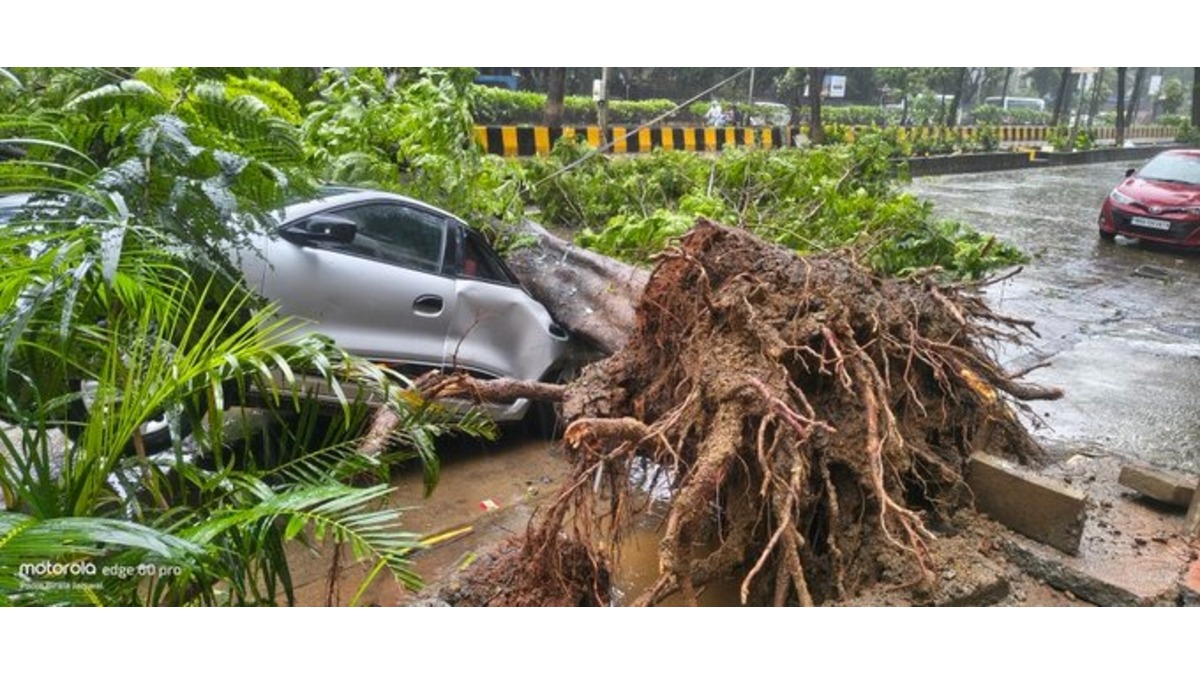 Mumbai Monsoon